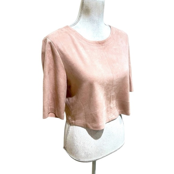 Bishop + Young blush faux suede Boxy Crop short sleeve top size small - Picture 3 of 9